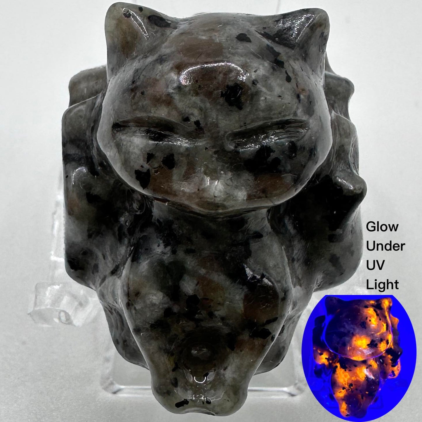 Cute Nine-Tailed Fox